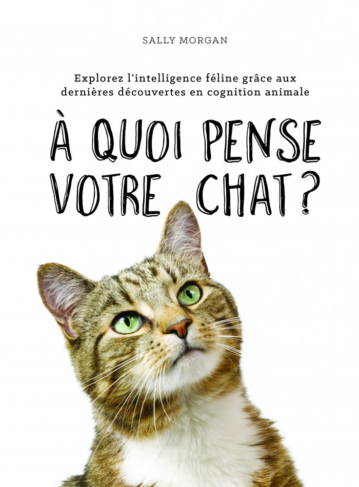 À quoi pense votre chat ?