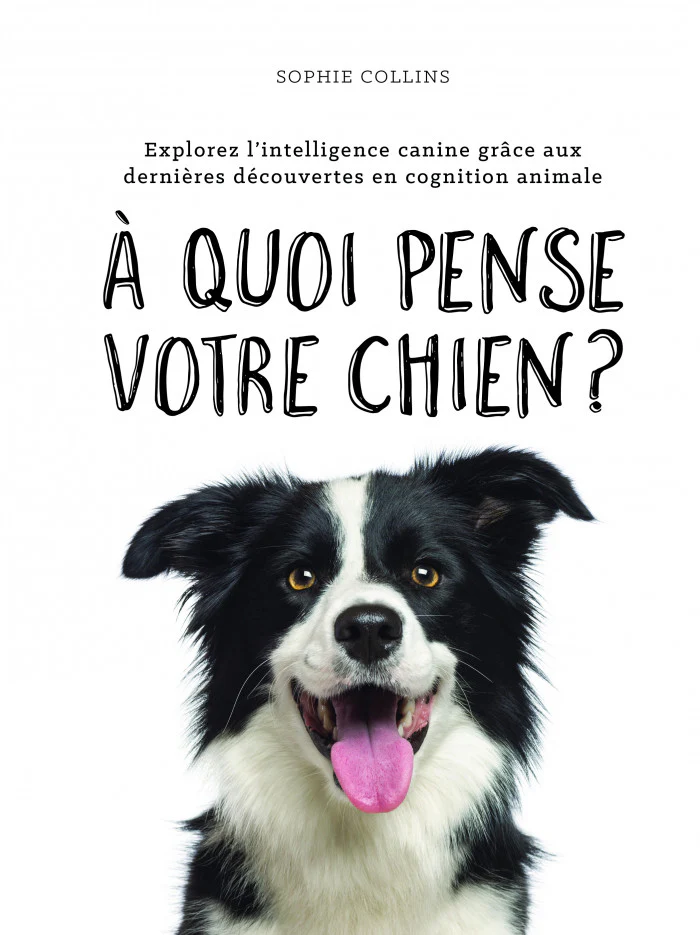 À quoi pense votre chien ?