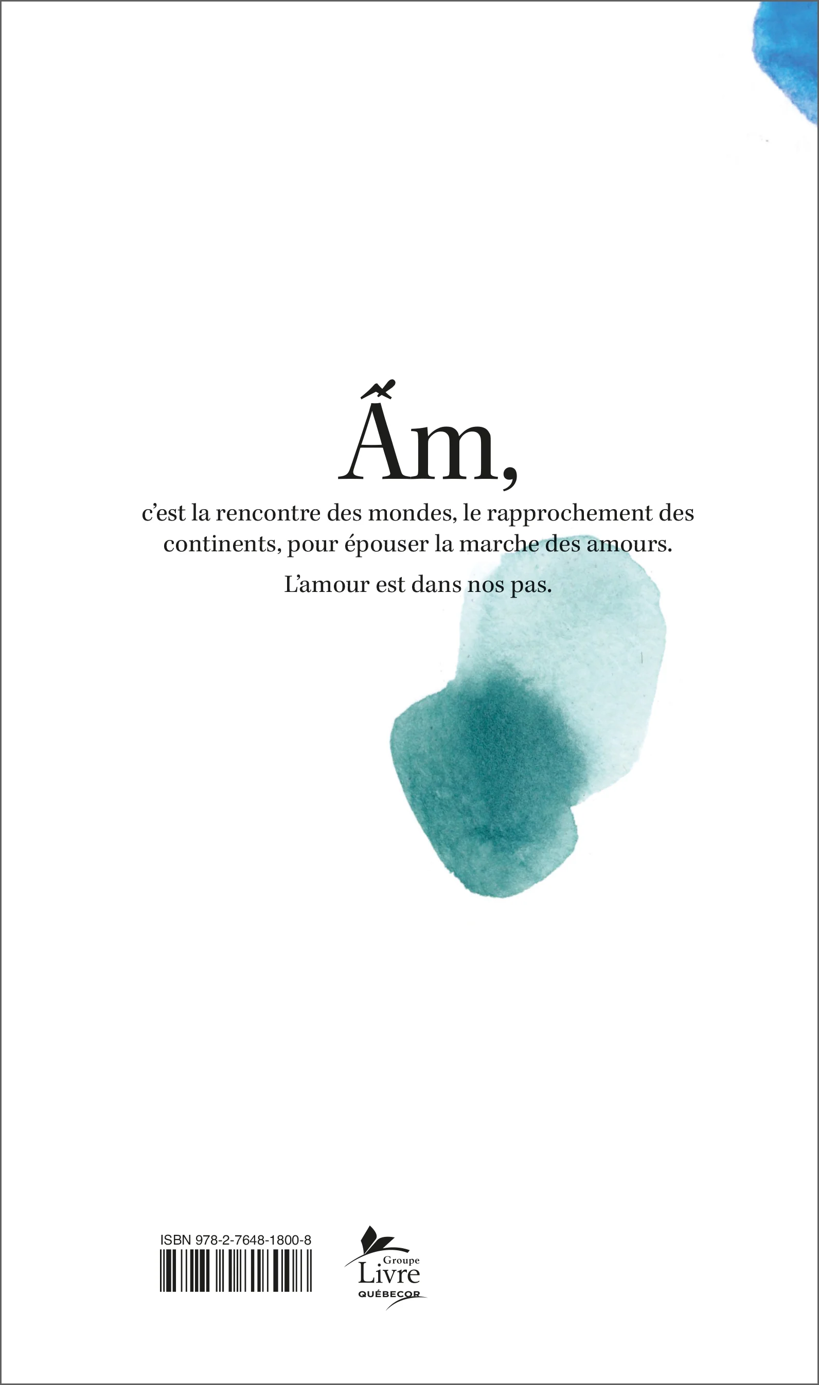 Am - Image 2