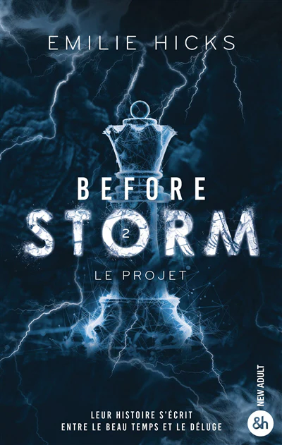 Before Storm - T2 : Le projet