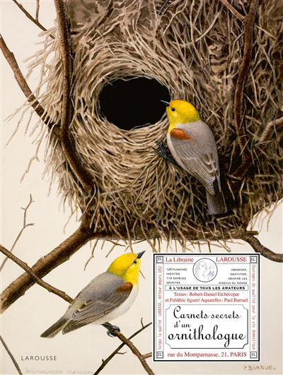 Carnets secrets d'un ornithologue - Image 5