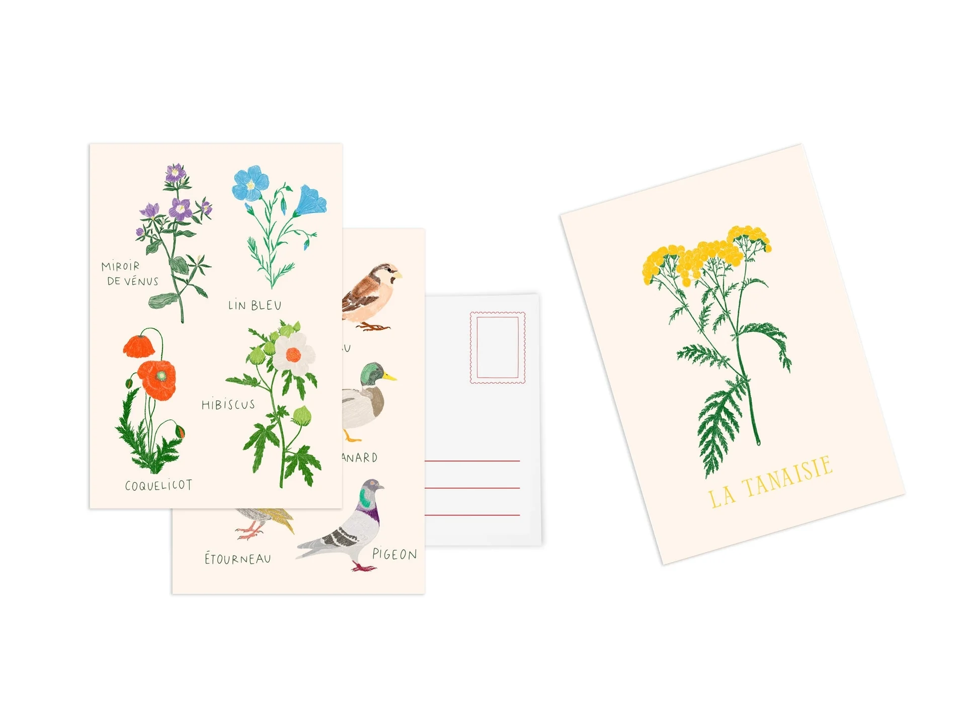 Cartes postales