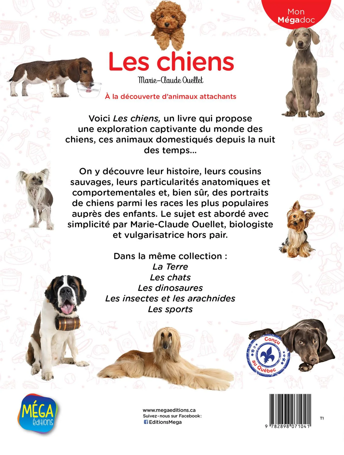 Les chiens : À la découverte d’animaux attachants - Image 2