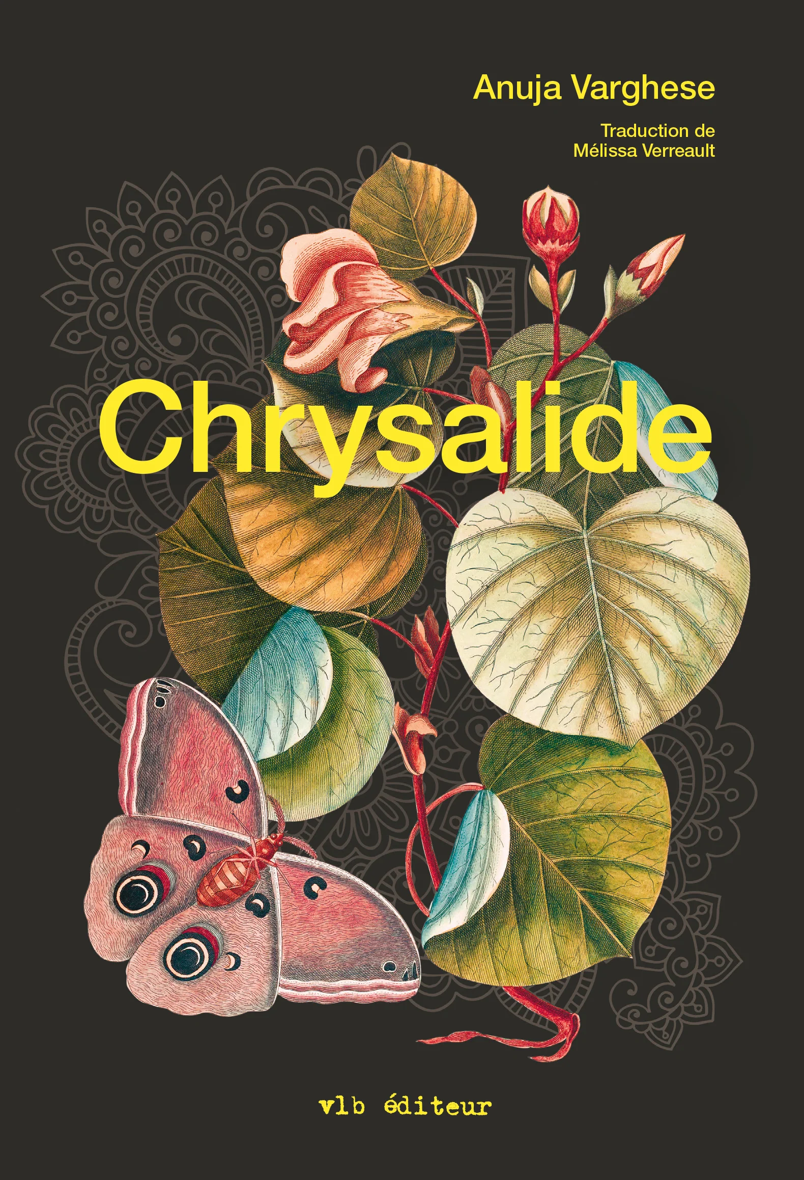 Chrysalide