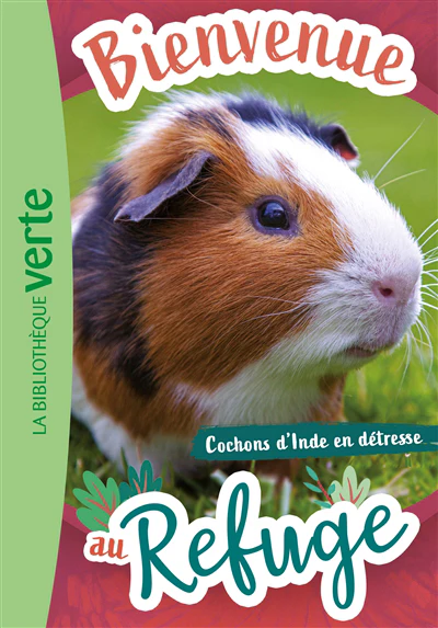 Cochons d'Inde en détresse