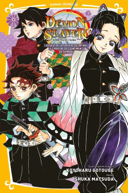 Demon Slayer - Roman jeunesse T06