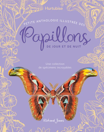 DES PAPILLONS DE JOUR ET DE NUIT