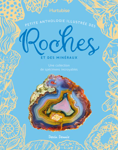 DES ROCHES ET DES MINERAUX