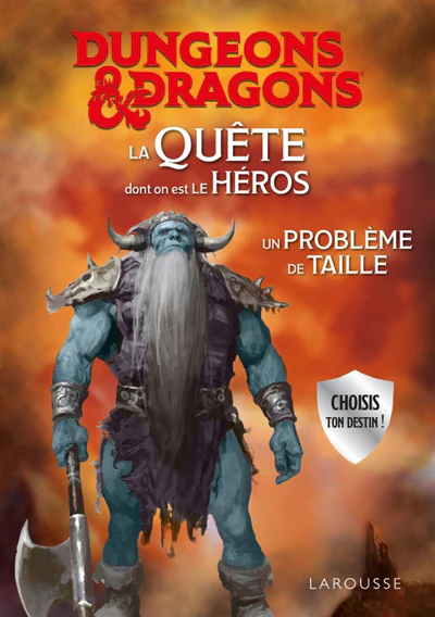 DUNGEONS &amp; DRAGONS La Quête dont on est le héros - Un problème de taille