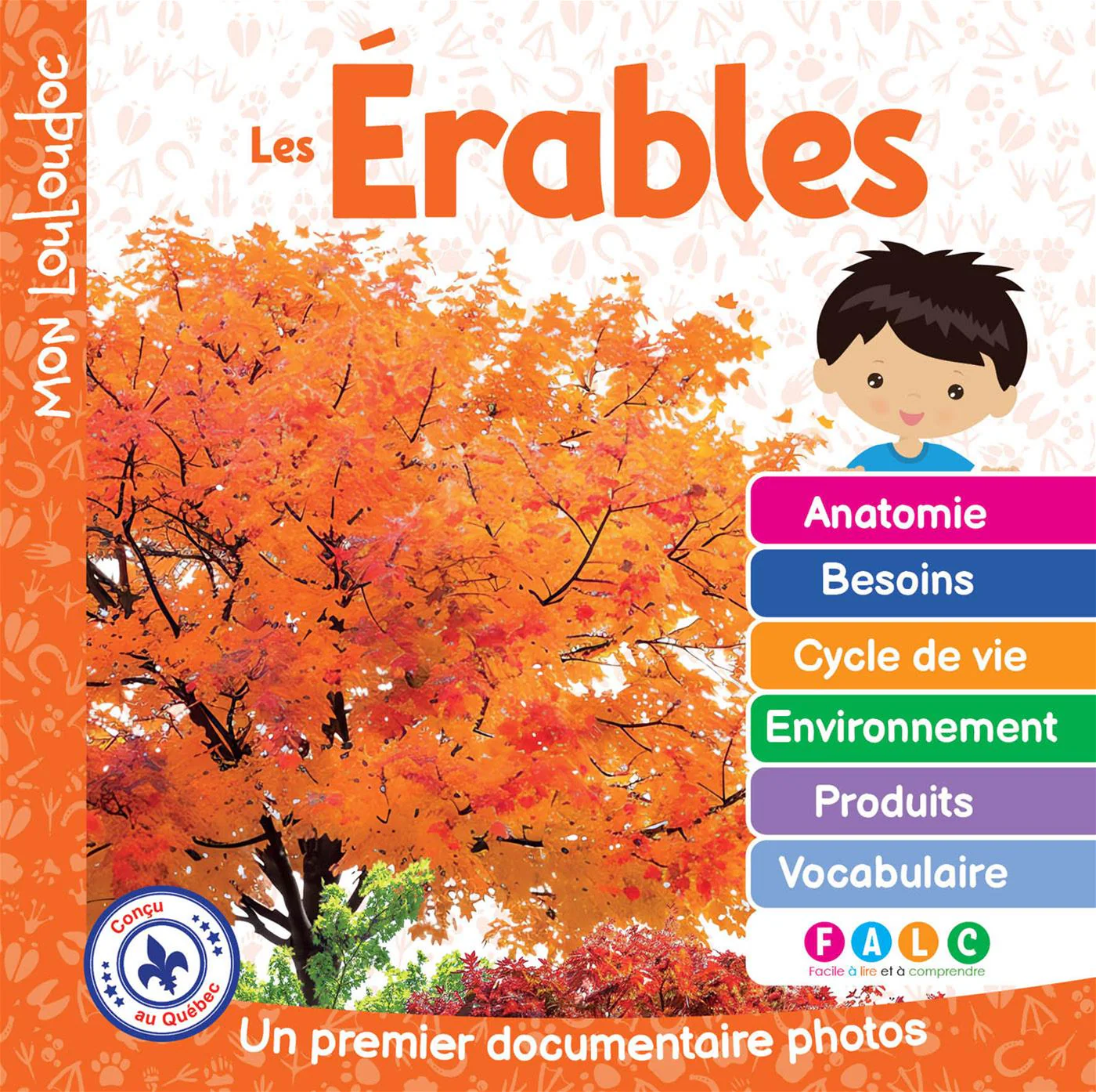 Les érables - Image 2