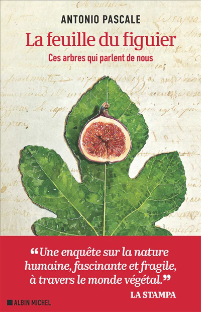 FEUILLES DU FIGUIER -CES ARBRES QUI...
