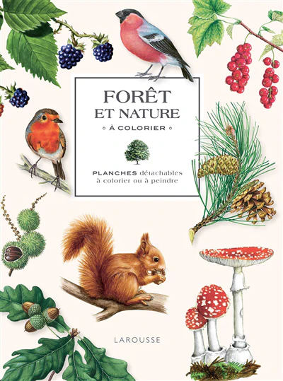 Forêt et nature à colorier : planches détachables à colorier ou à peindre