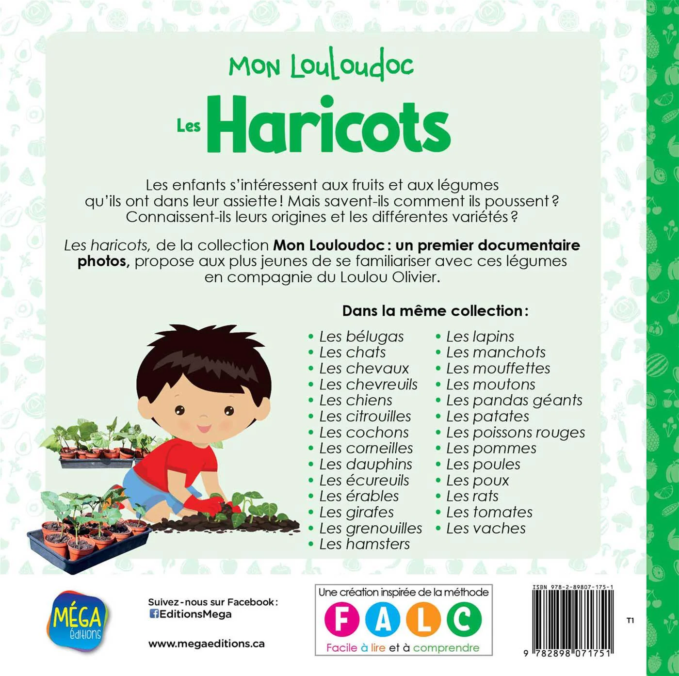 Les haricots - Image 2