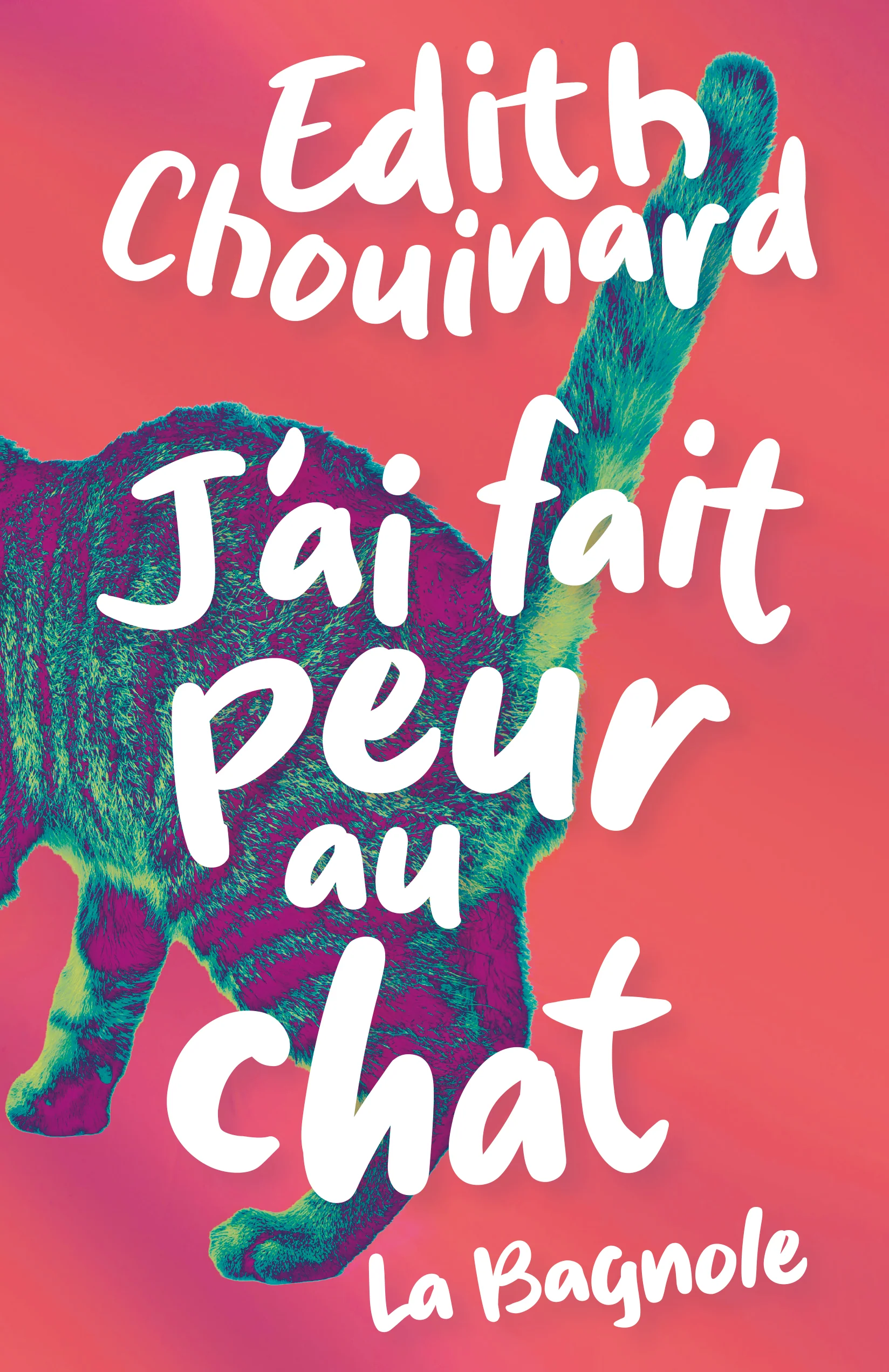 J'ai fait peur au chat - Image 3