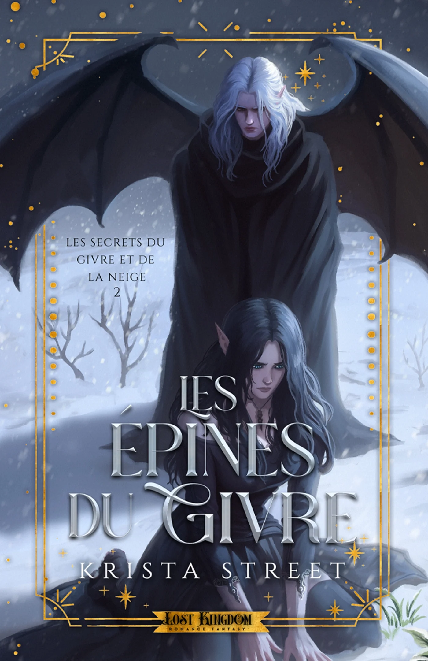 Les Épines du Givre (Edition Relié)