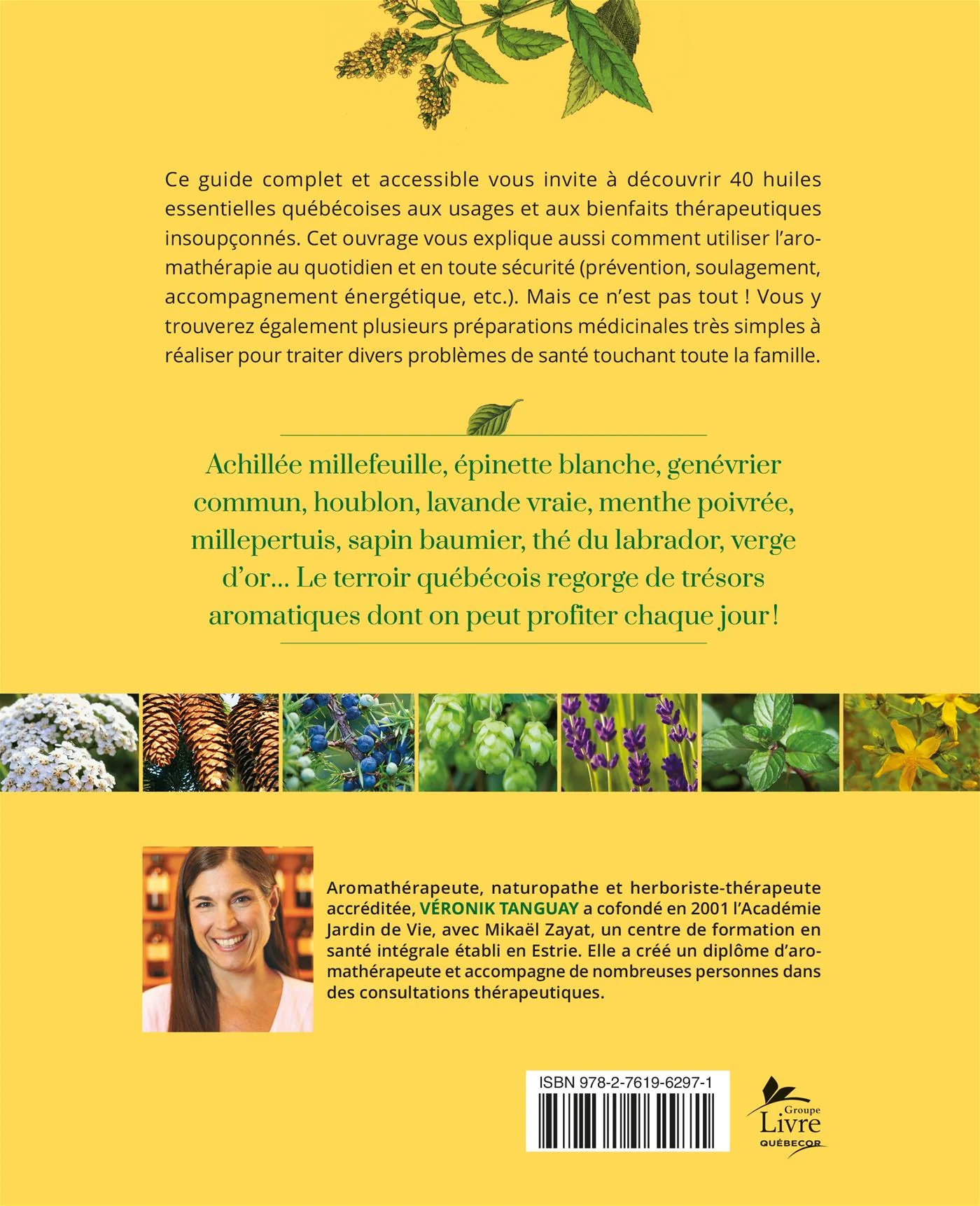 Les huiles essentielles du Québec - Image 2