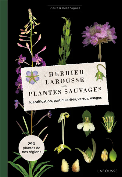 L'Herbier des plantes sauvages - Image 3