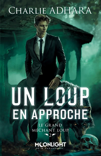 Un loup en approche