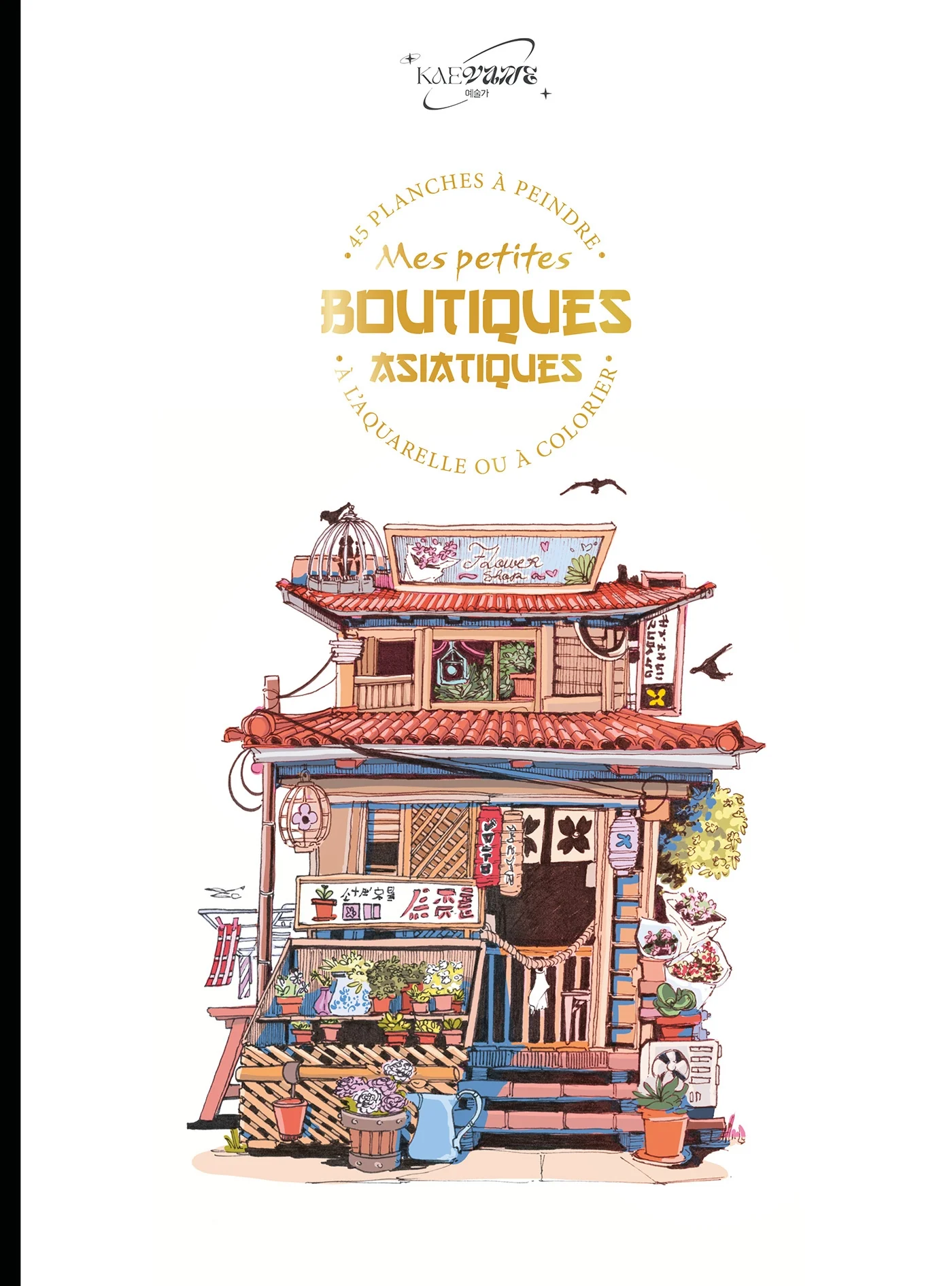 Mes petites boutiques asiatiques - Kaevane