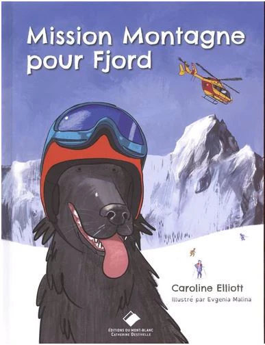 Mission montagne pour Fjord - Image 2