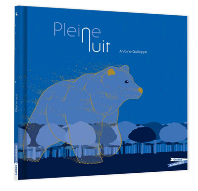 Pleine nuit