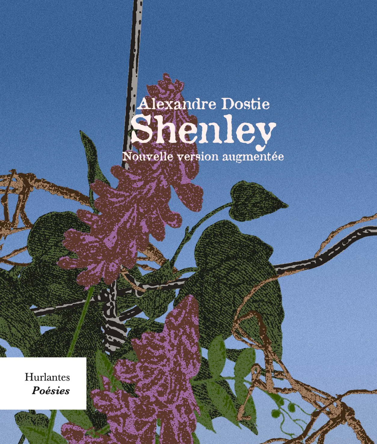SHENLEY -NE AUGMENTEE