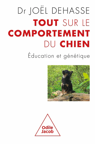 Tout sur le comportement du chien