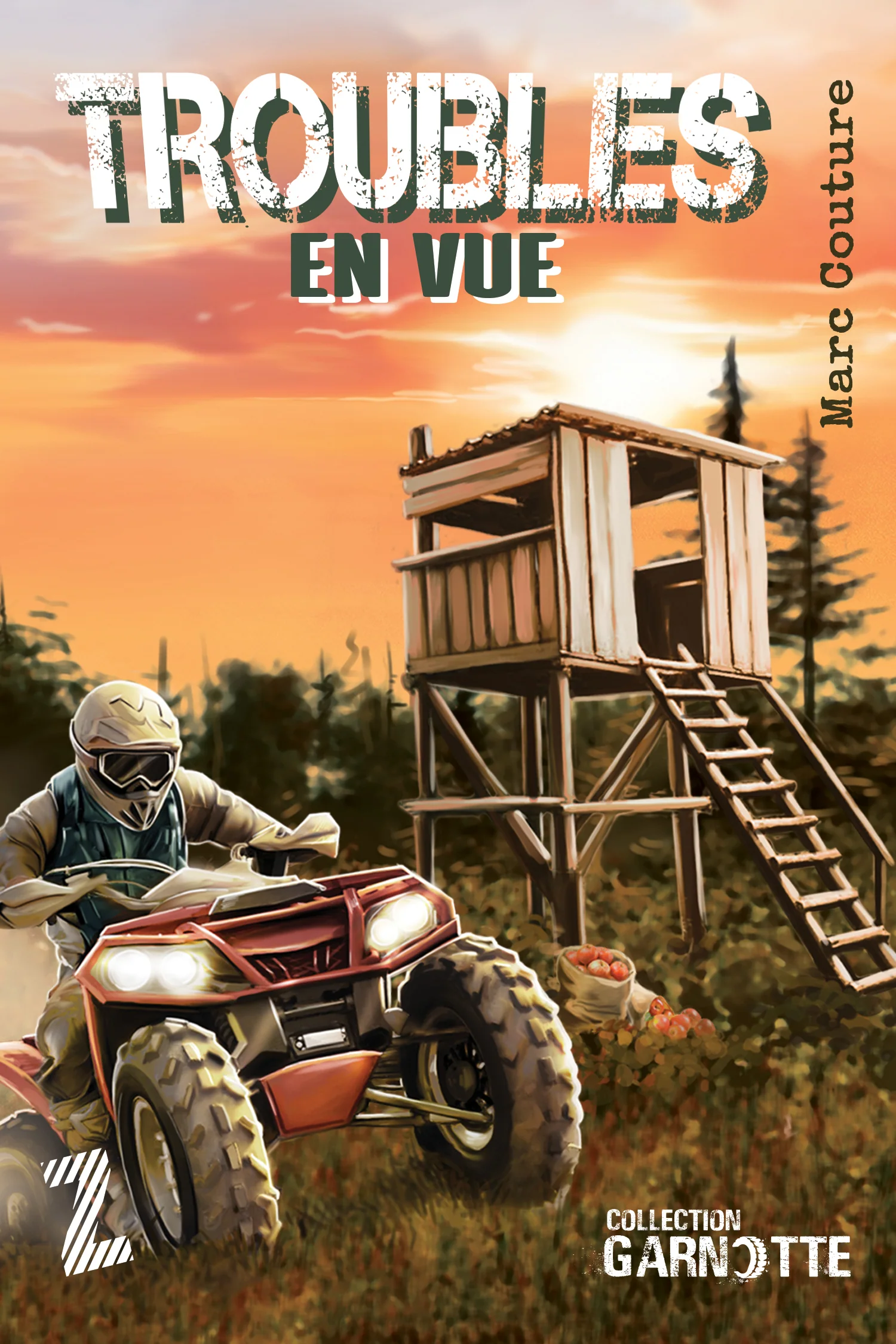 Troubles en vue
