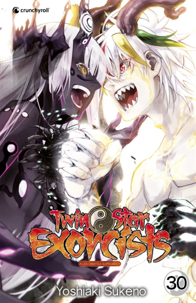 Twin star exorcists, Vol. 30