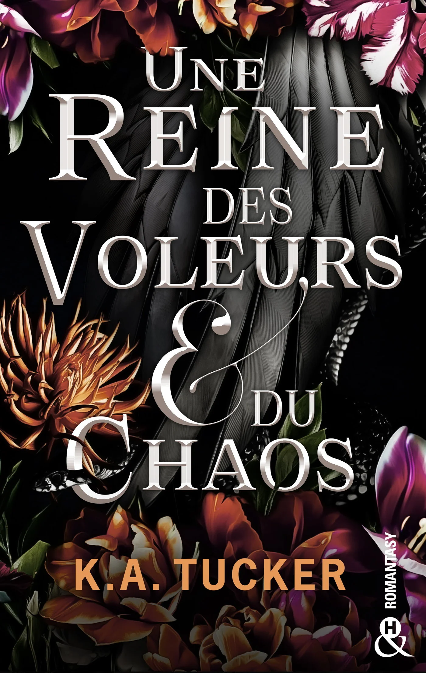 Une Reine des Voleurs &amp; du Chaos