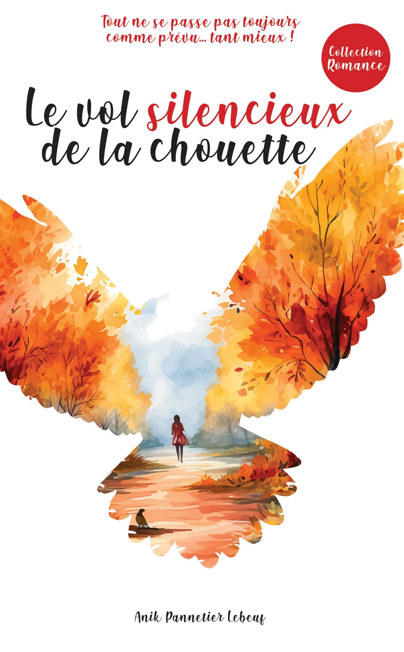 Le vol silencieux de la chouette