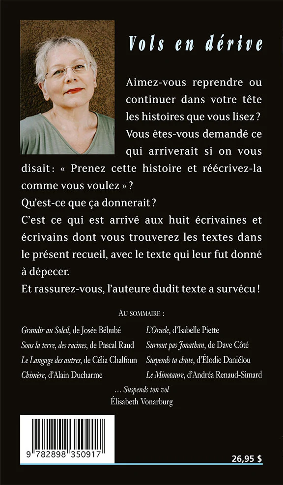 VOLS EN DERIVE - Image 2